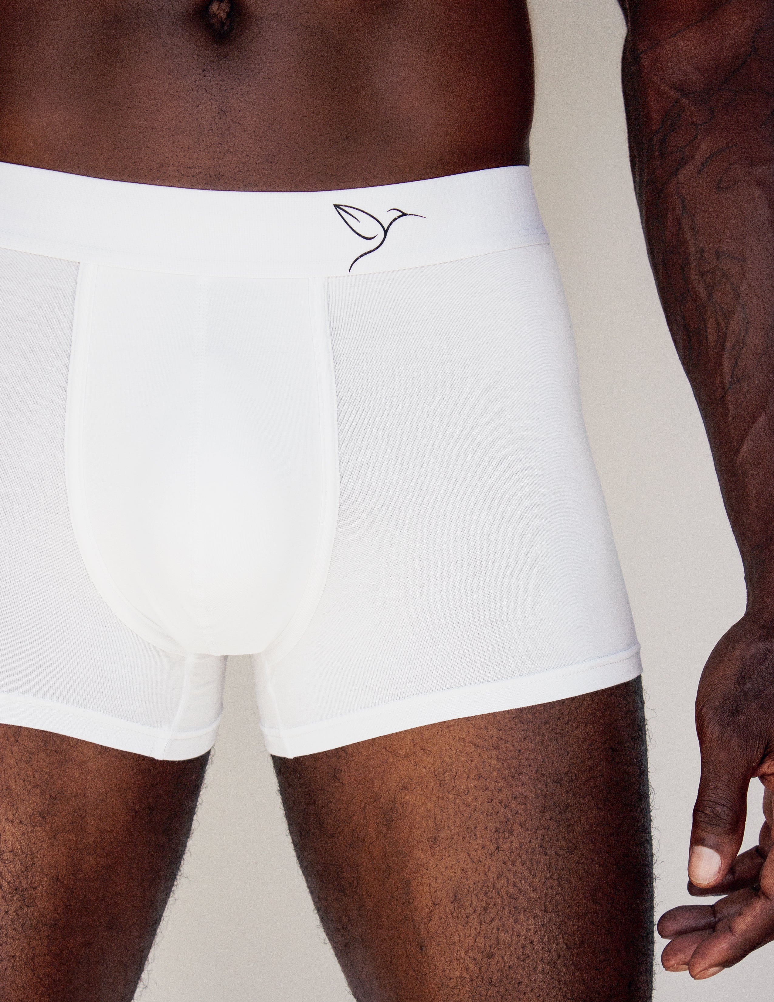 BAMBOO BOXER BRIEFS- SET OF 3